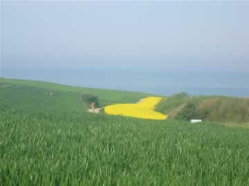 Cap Gris Nez